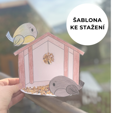 Stáhněte si zdarma papírovou ptačí budku k vybarvení! 🎨🐦
