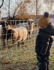 Merino pletená čepice Vanto - vzor 09 - hořčicová tmavá