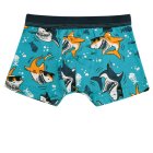 Boxerky, slipy