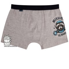 Chlapecké  bavlněné boxerky - vzor 043  - šedá - méďa kosmonaut