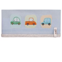 Anička - vzor 17 - světle modrá- auta